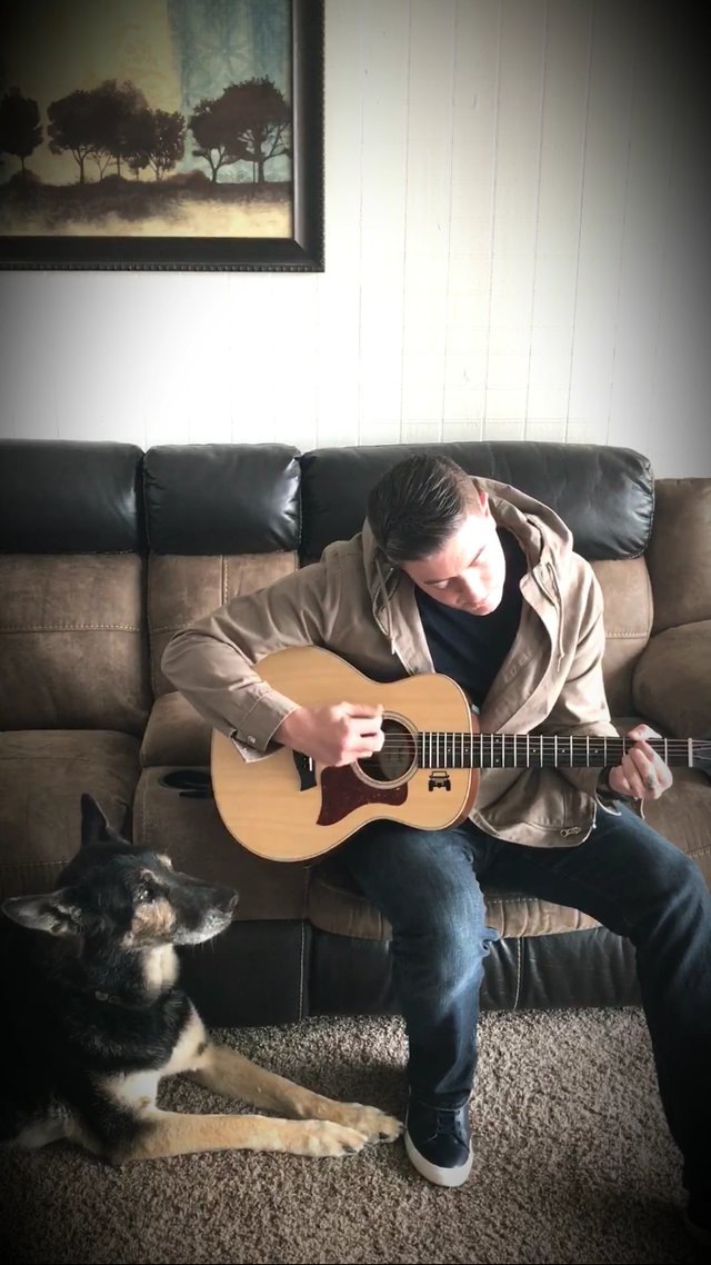 ギターを弾いてる男性と犬