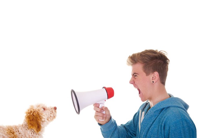 拡声器を犬に向けて大声を出す男性