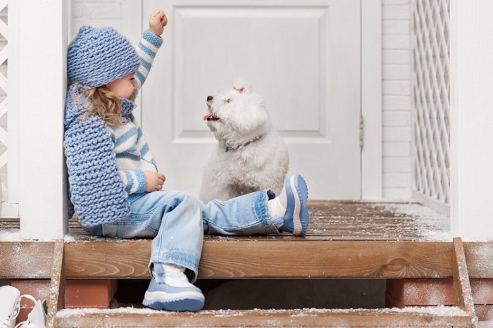 玄関で遊ぶ子犬と少女