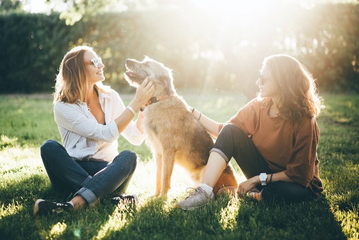 芝生に座る二人の女性に可愛がられている犬