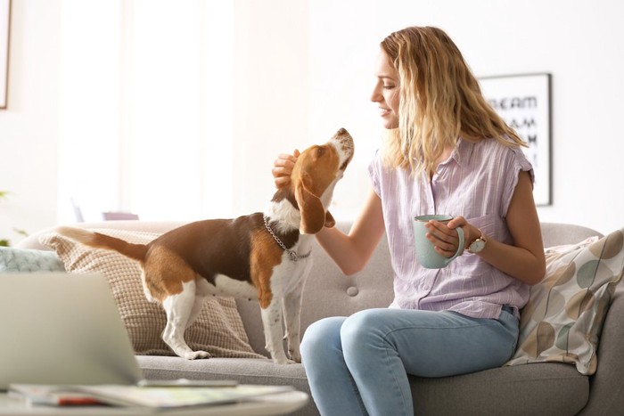 ソファーでコーヒーを持つ女性と撫でられる犬