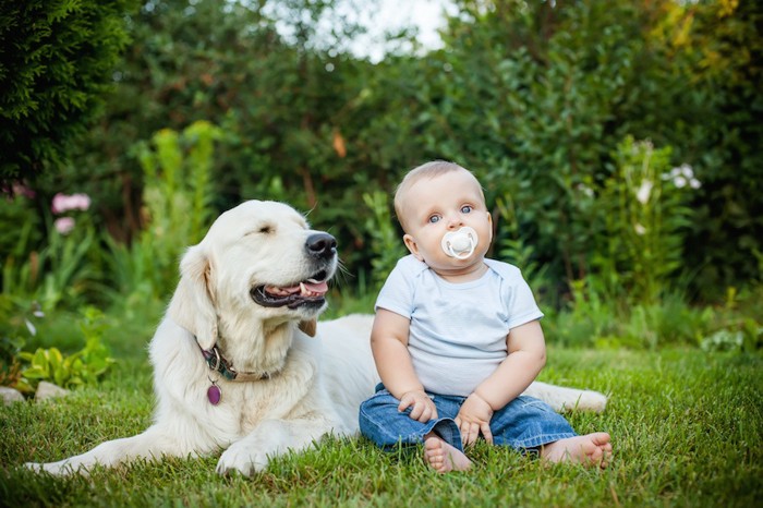 人間の赤ちゃんと犬