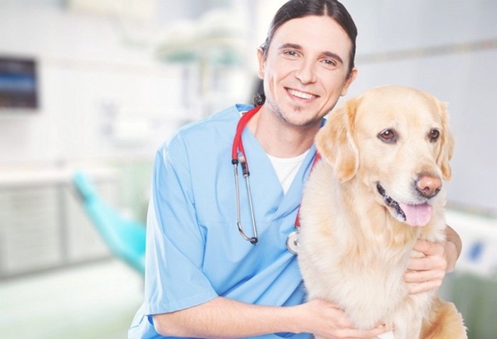 獣医師と犬