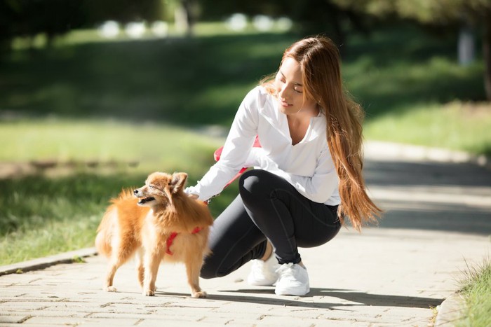 散歩中に犬を撫でる女性
