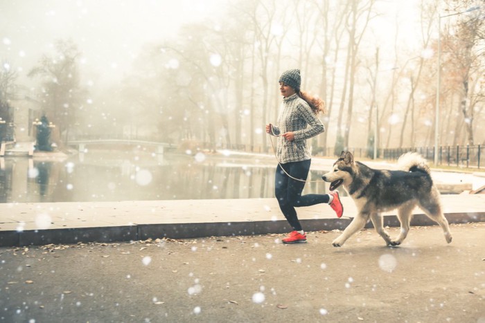 雪のちらつく中をジョギングする女性と犬