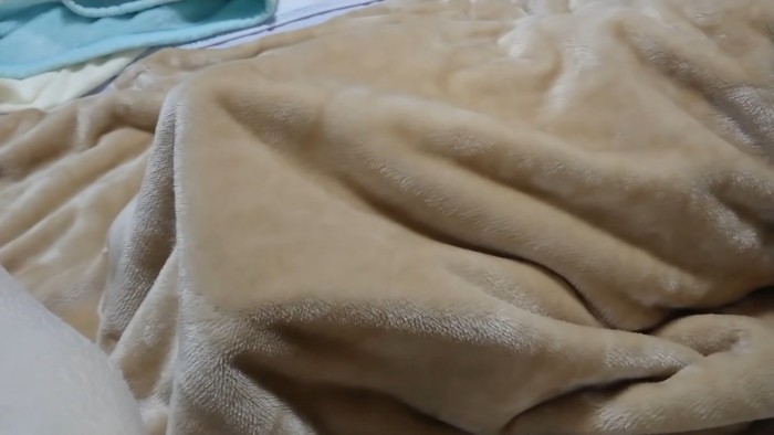 りんちゃんの毛布
