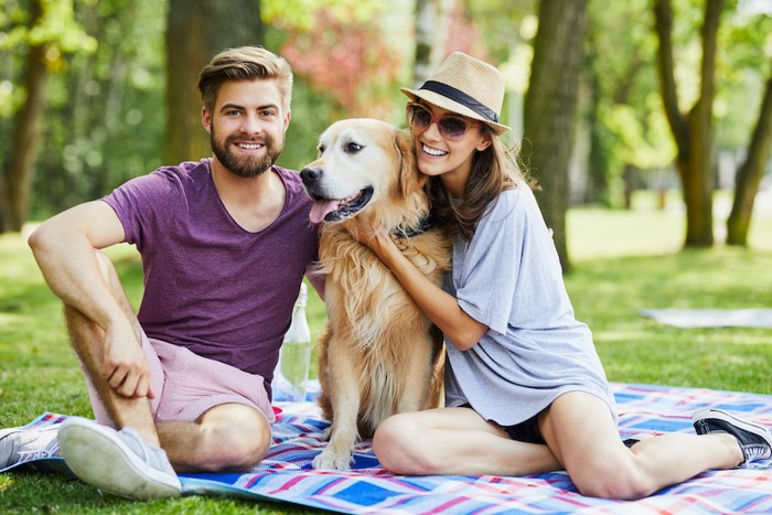 犬と一緒にピクニックを楽しむカップル