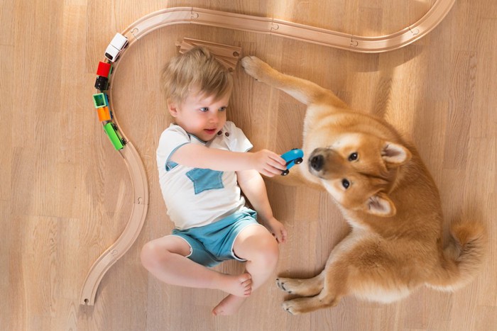おもちゃの電車で遊ぶ男の子と柴犬