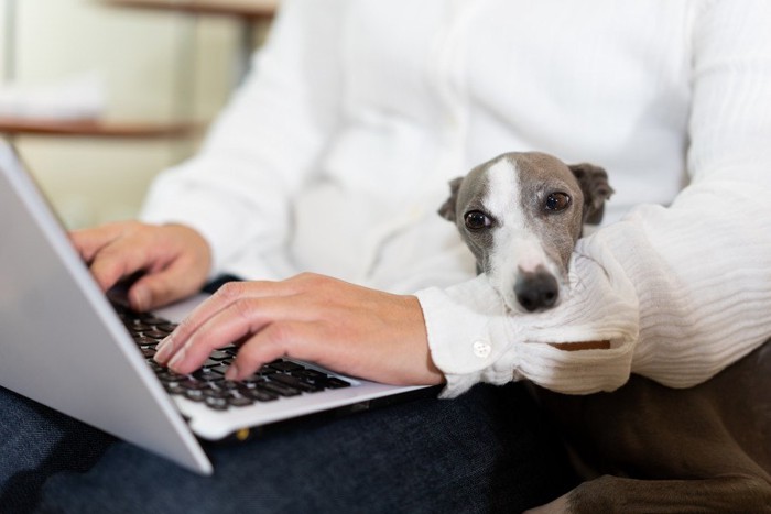 パソコンを操作している男性と犬