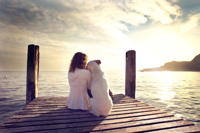桟橋で寄り添って座る女性と犬