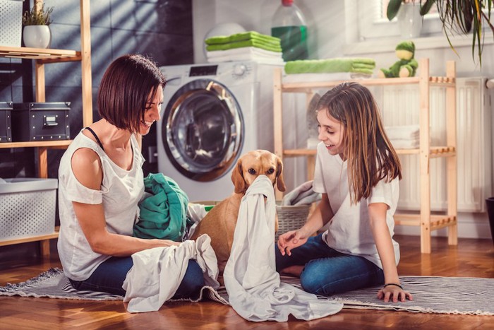 洗濯物で遊んでいる犬と家族