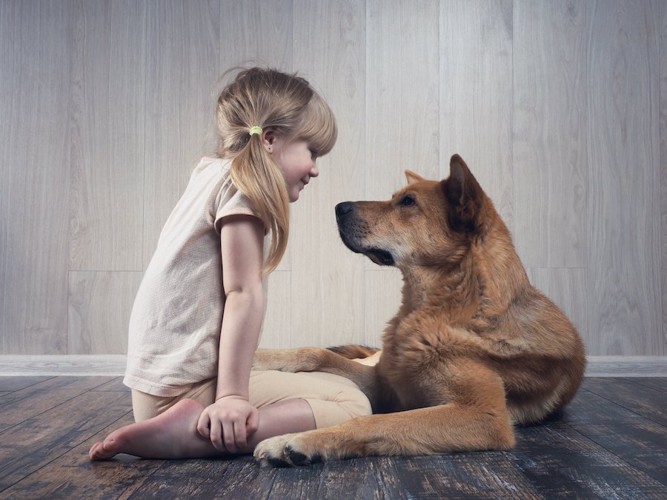 向き合って見つめ合う女の子と犬