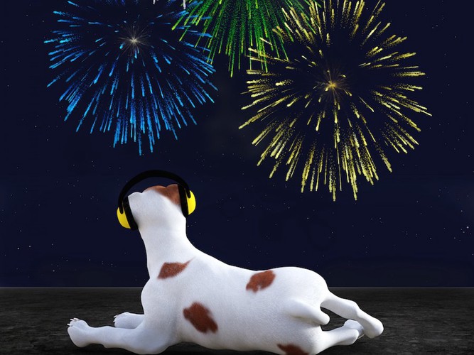 ヘッドフォンをつけて花火を見る犬