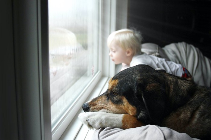 窓の外を見る犬と子供