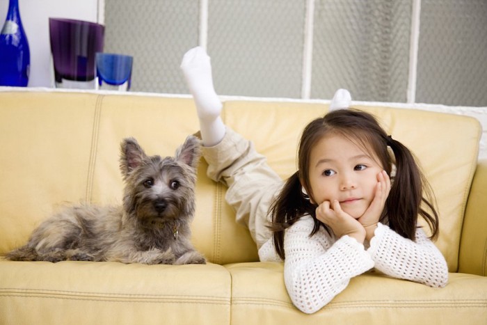 ソファーでくつろぐ女の子と犬