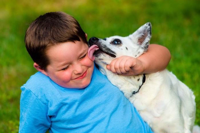 男の子の顔を舐めている白い犬