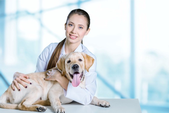 女性獣医師と犬