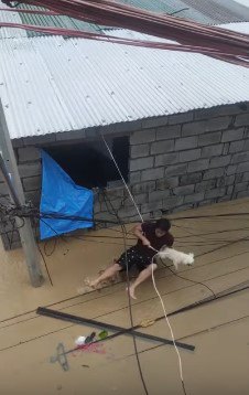 ロープがはずれて水中に放り出される人と犬