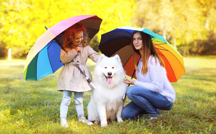 傘を差す母娘と犬