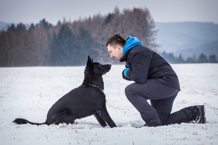 雪の中で向き合う黒い犬と男性