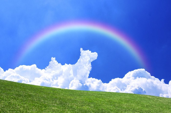 虹がかかった青空に浮かぶ犬の形をした雲