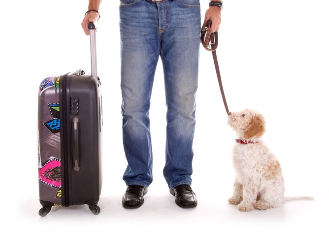 スーツケースを持った犬を連れた人