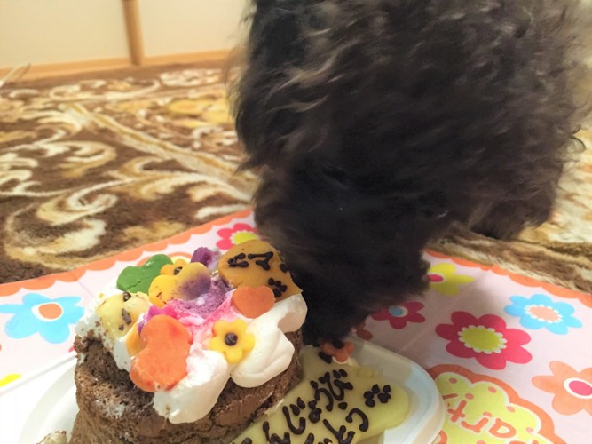 誕生日ケーキを食べるエマさん