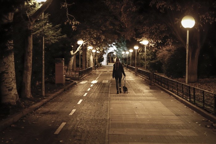 夜の街を歩く犬と女性