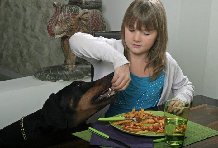 犬にパスタを食べさせる少女