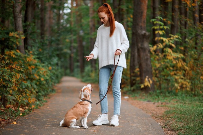 散歩中に指示を出して犬にお座りをさせる女性