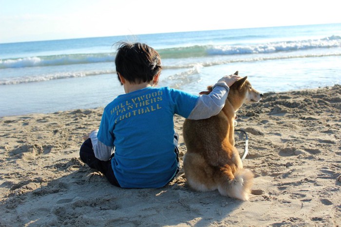 砂浜に座る男の子と柴犬の後ろ姿