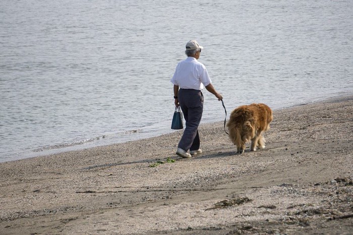 高齢者と犬