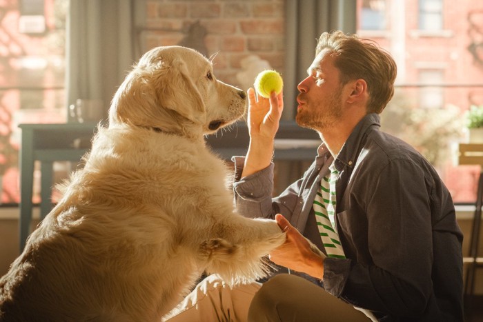 ボールで遊んでいる犬と男性