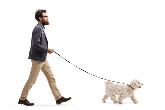 犬の散歩をする男性