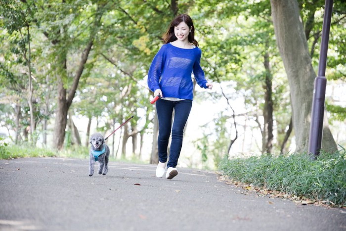 小走りでお散歩する女性と犬