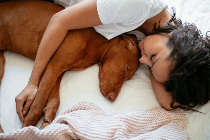 一緒にベッドで眠る女性と犬