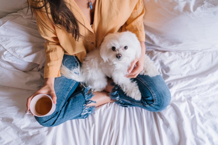 犬とコーヒーを持つ女性