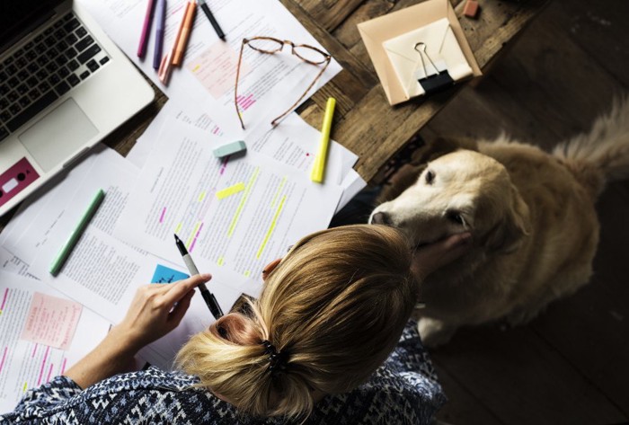 勉強をする女性と犬