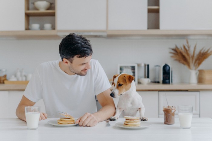 食事を共有する男性と犬