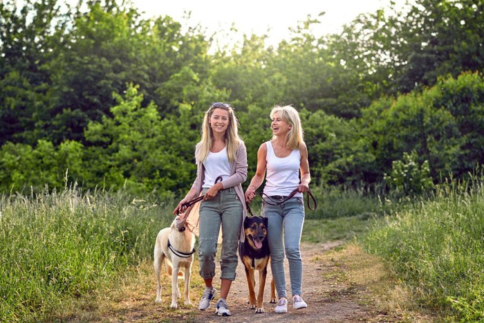 犬とお散歩する2人の女性