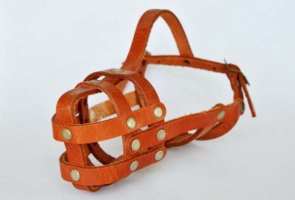 革製の犬の口輪