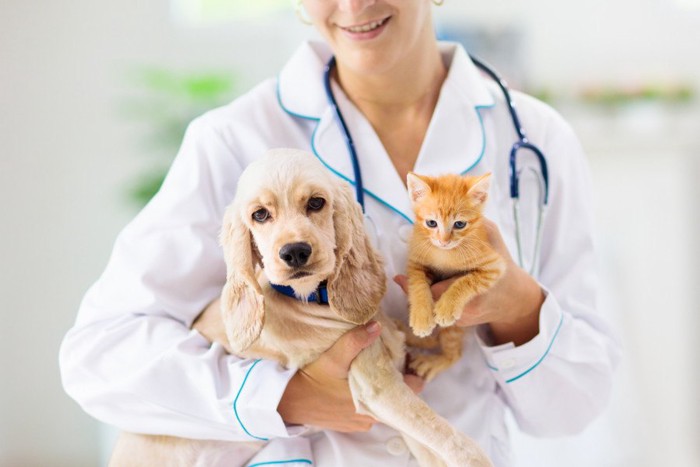 獣医さんに抱っこされる犬と猫