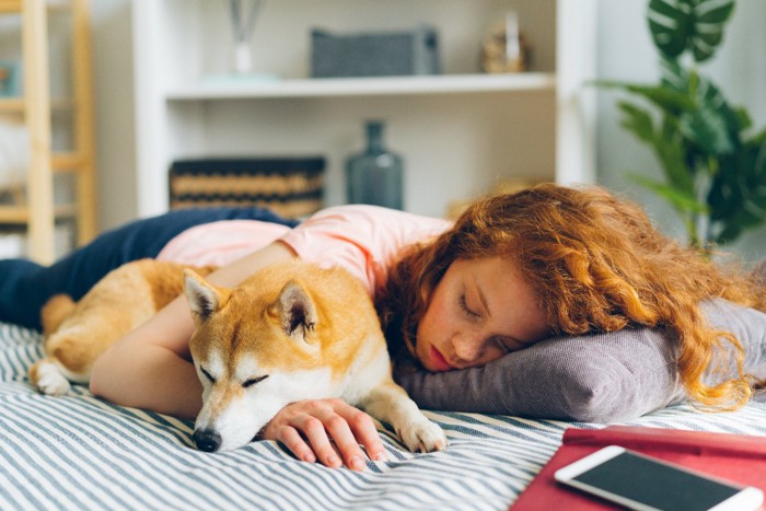 眠る女性の腕で寝る犬