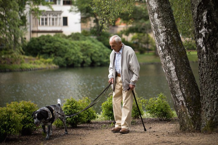 犬と散歩する年配の男性