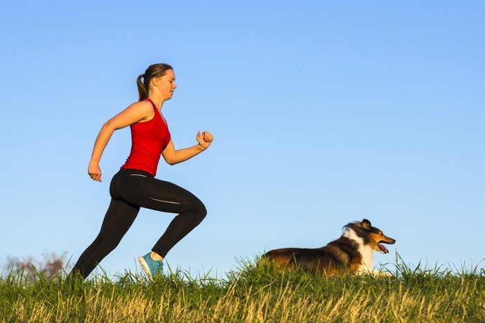 犬と一緒に走る女性