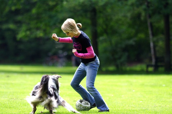 芝生でサッカーをして遊ぶ女性と犬