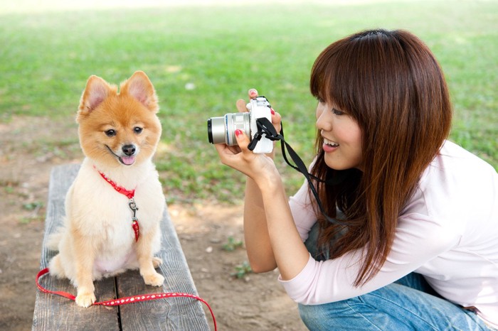 写真と犬