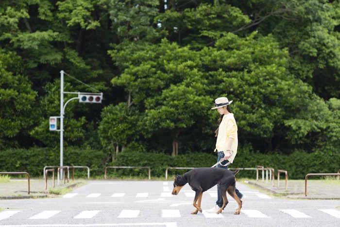 横断歩道を歩く女性と犬