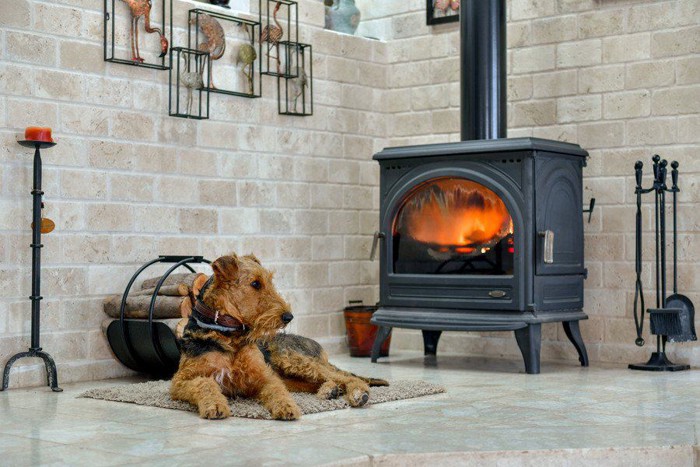 暖炉の前に座る犬