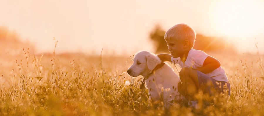 草原で一緒に座る少年と犬
